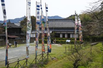 端午の節句・バラ展の様子1