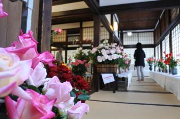菊花・バラ展の様子1