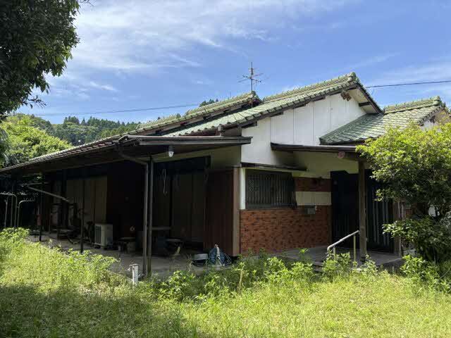 image8.jpeg