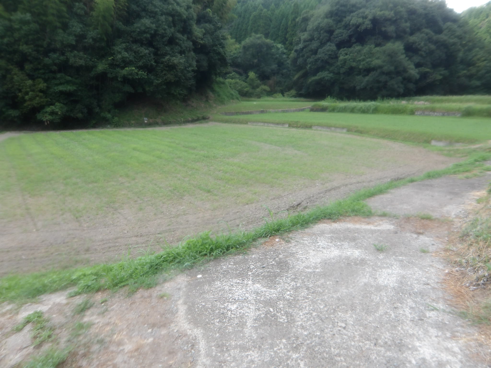 南関町大字肥猪字寺井川256、257、258番地