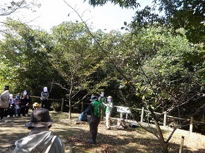 InkedIMGP0838_LI.jpg