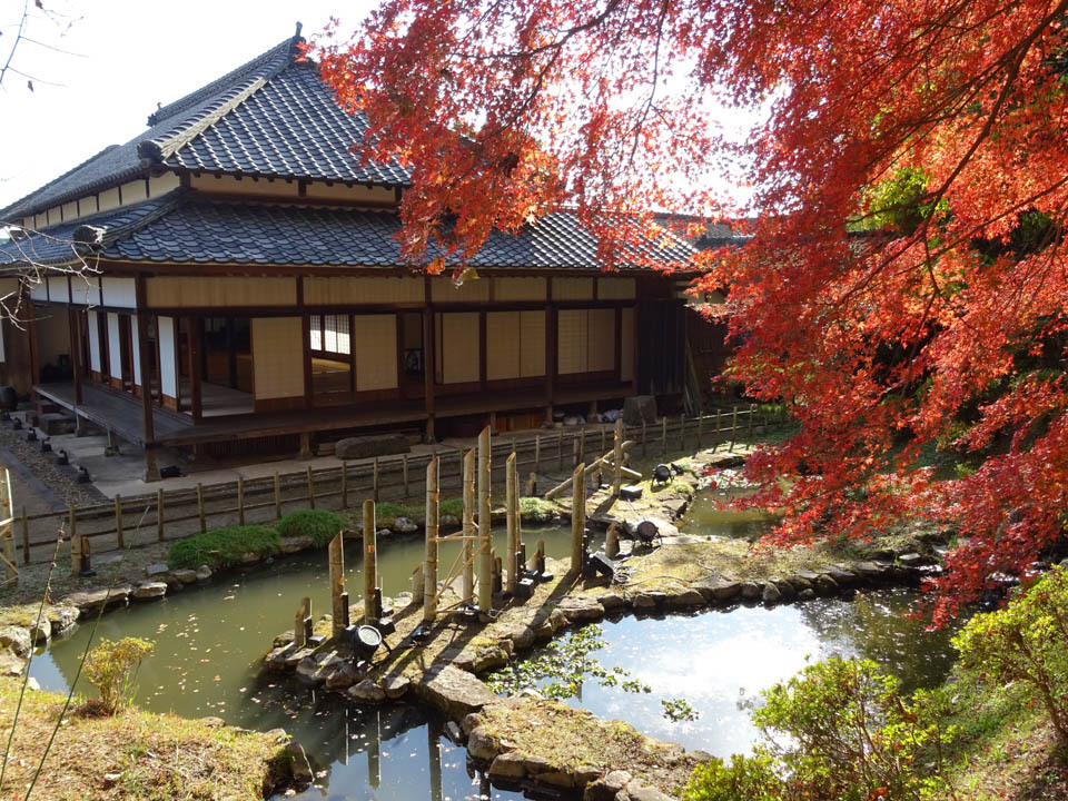 南関御茶屋跡の紅葉