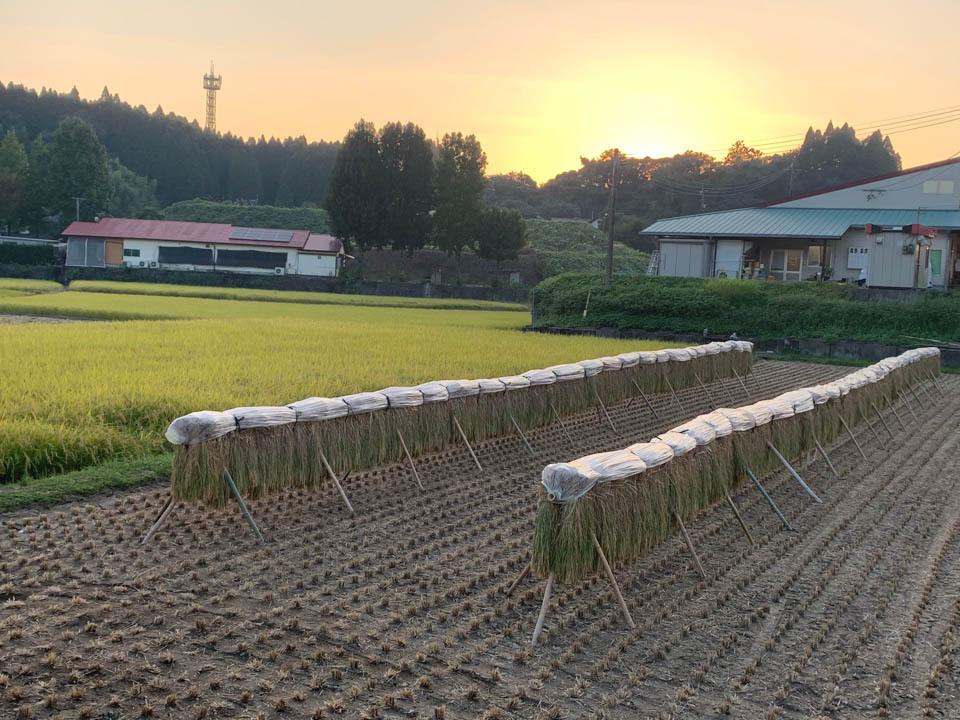 変わらない風景