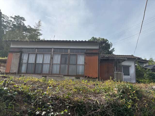 image6.jpeg