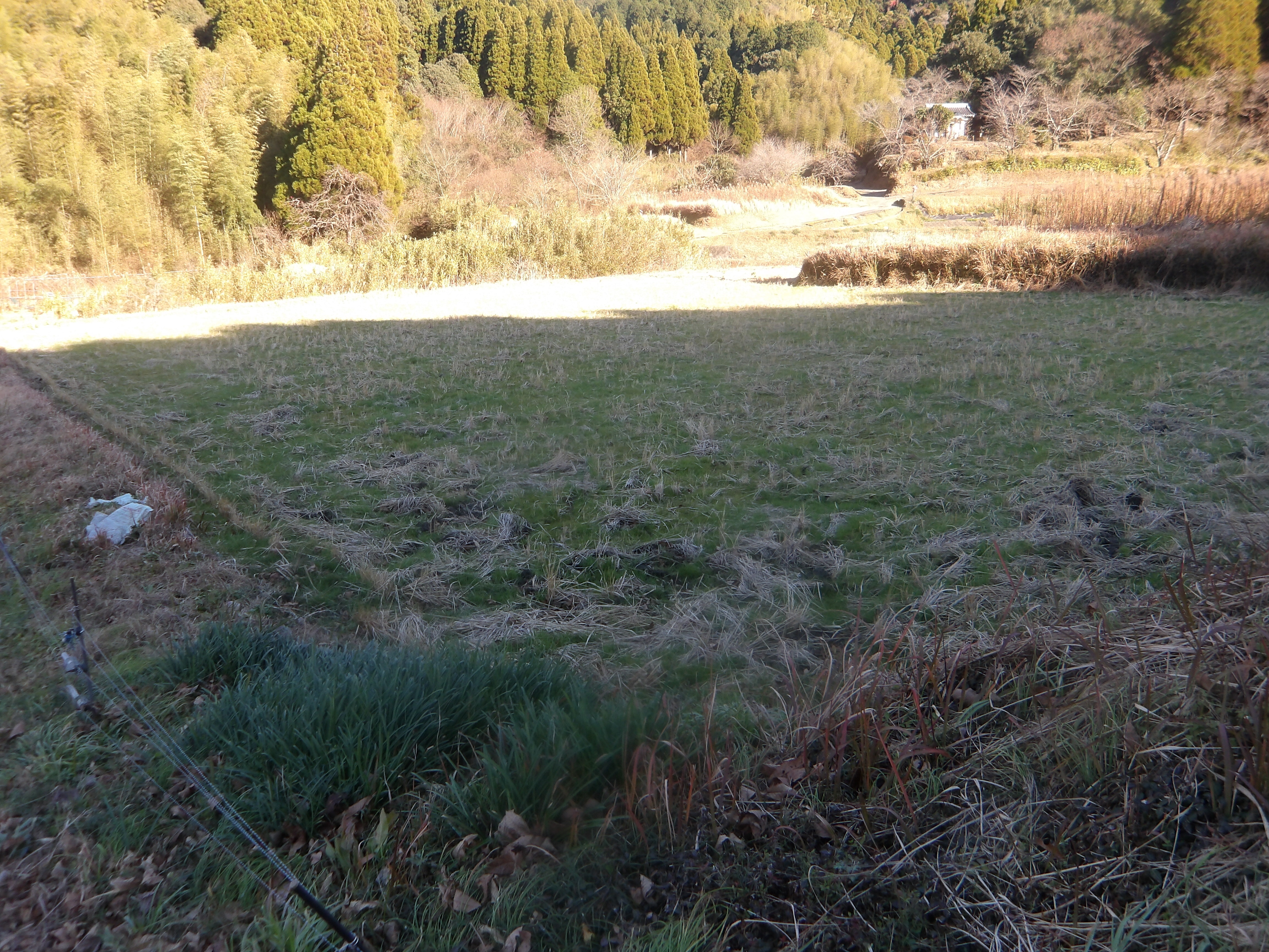 南関町大字関東字堂ノ浦3069番地