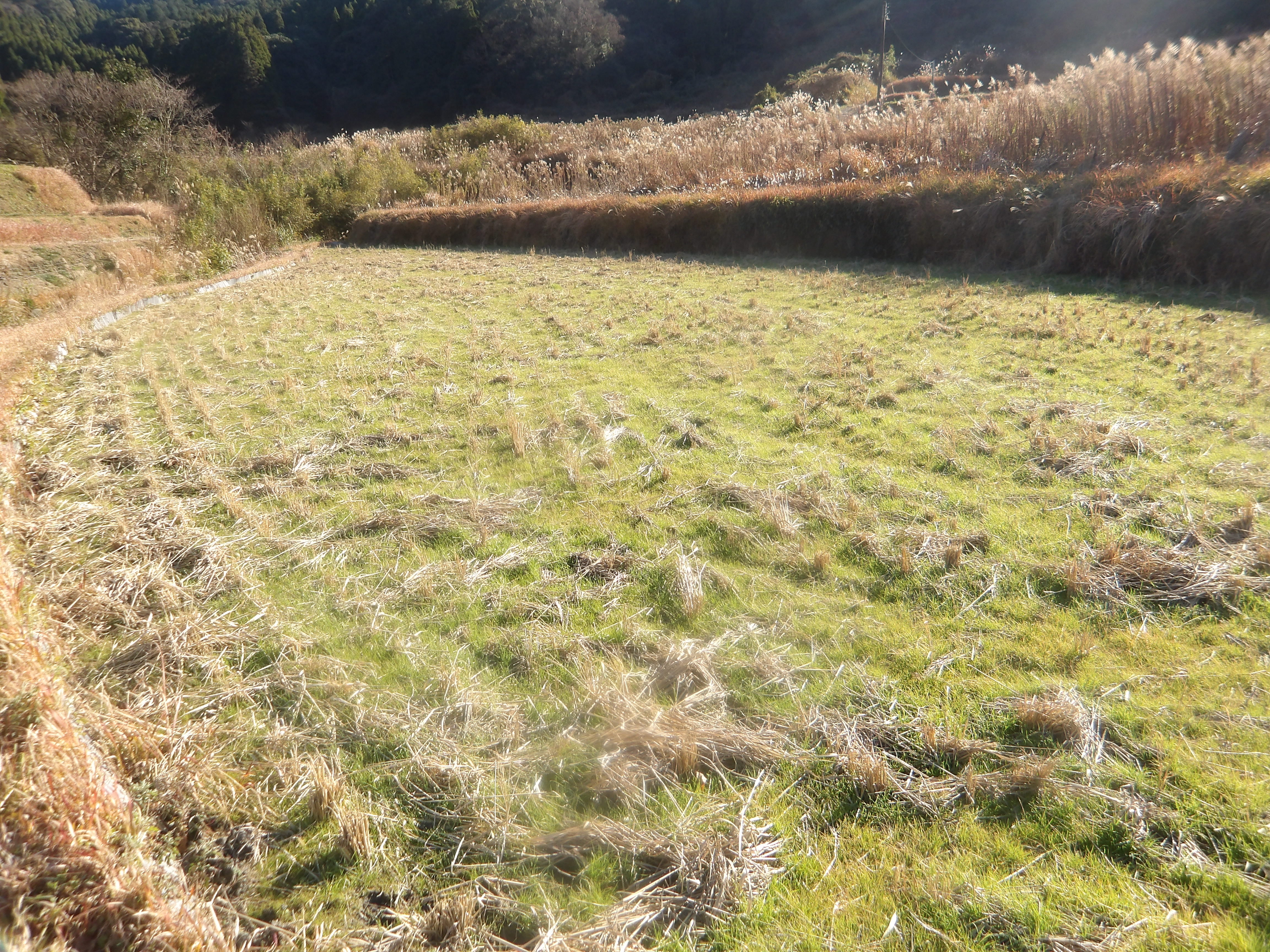 南関町大字関東字堂ノ浦312番地