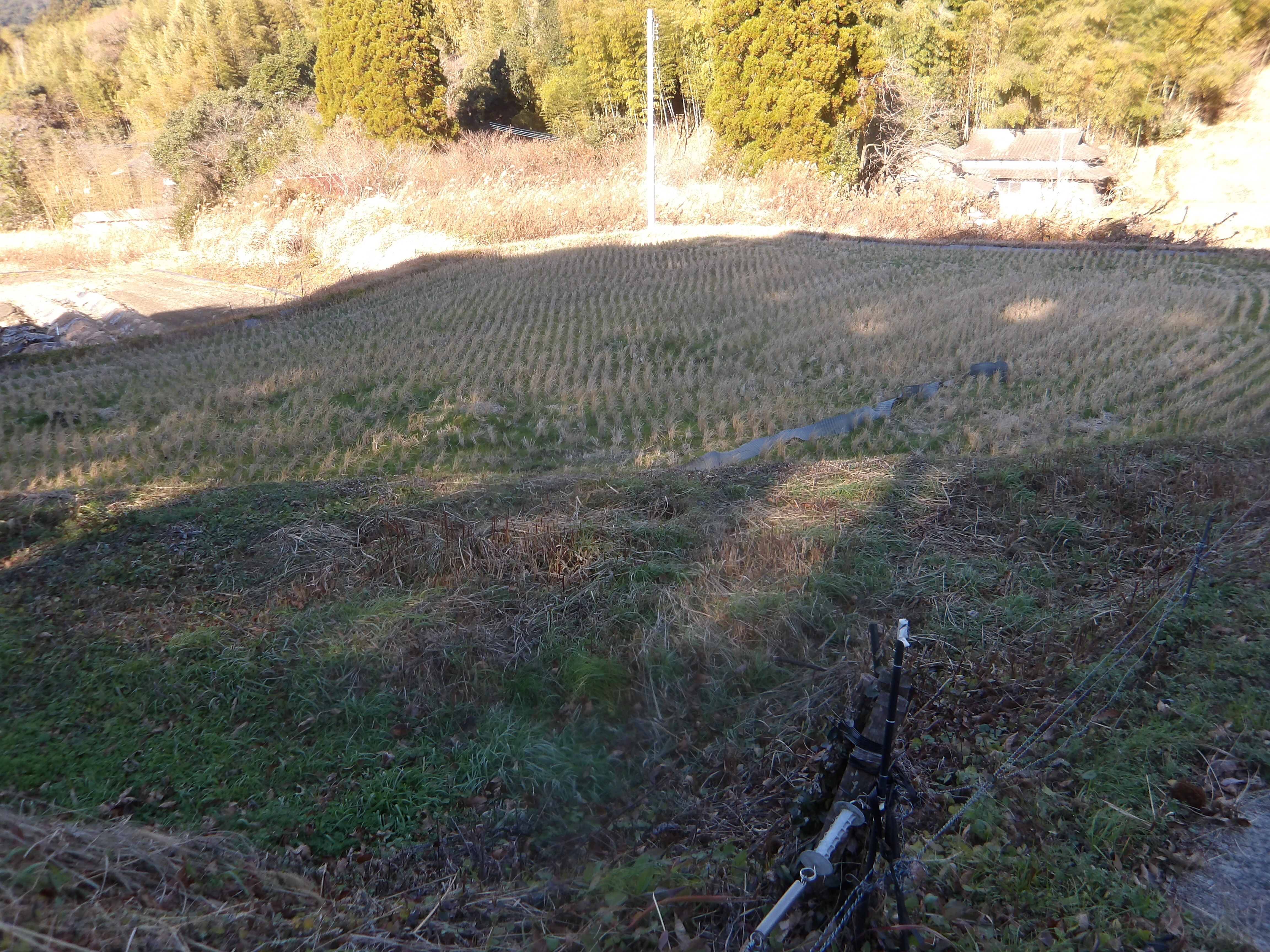 南関町大字関東字堂ノ浦306番地