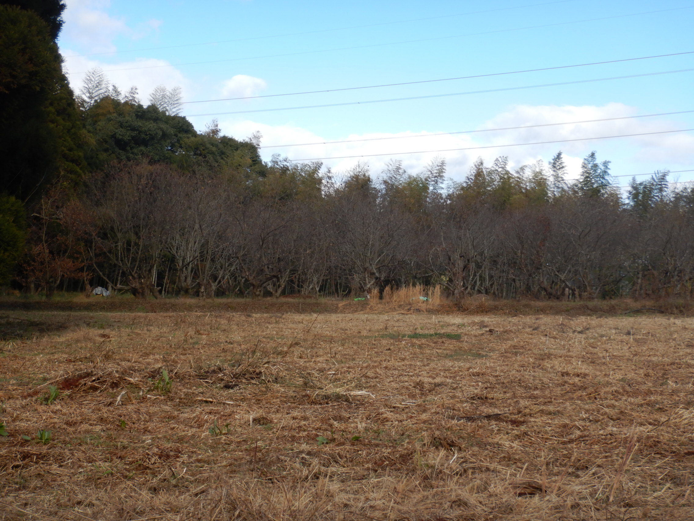 南関町大字関下白毛原658