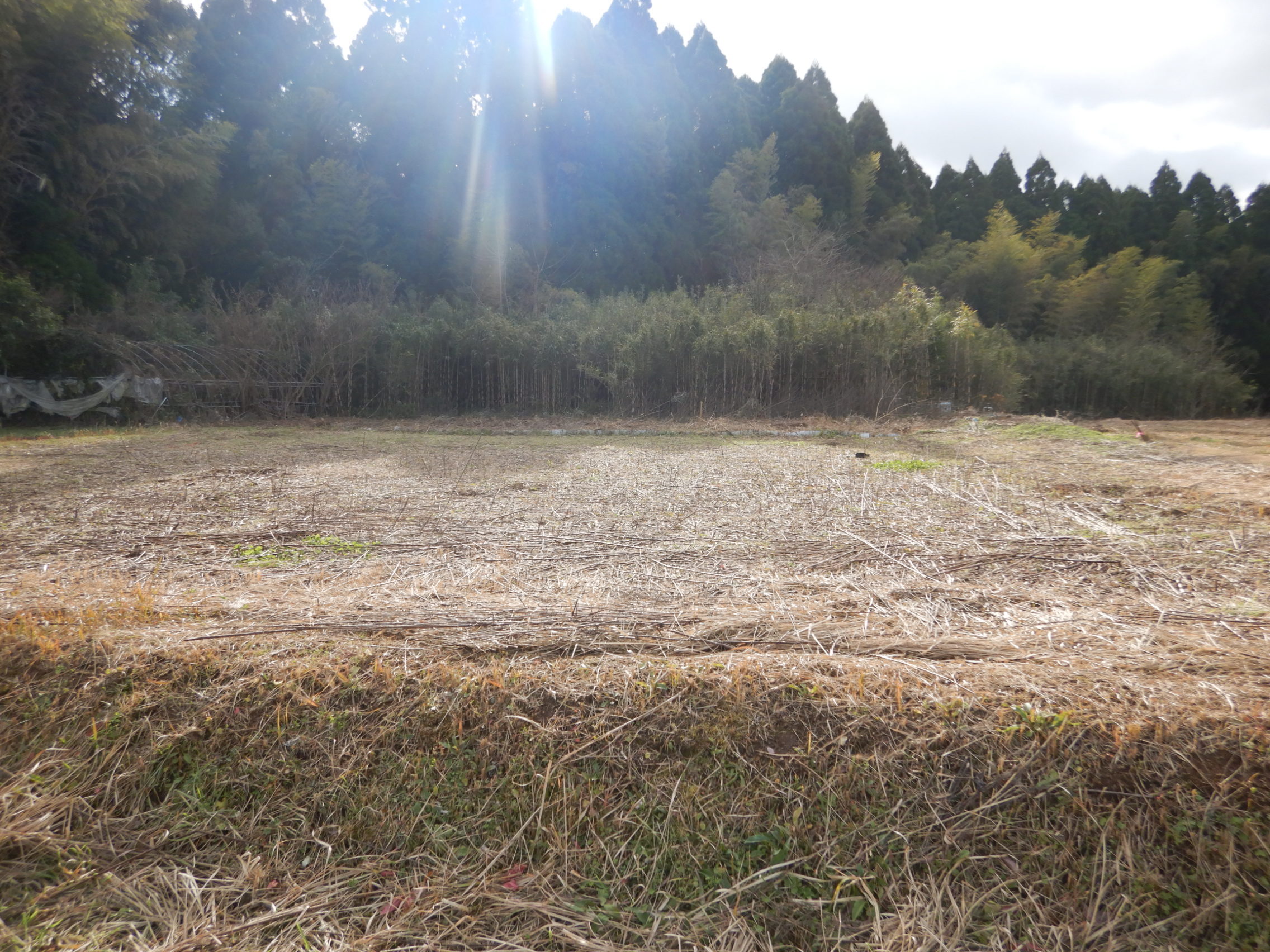 南関町大字関下白毛原664