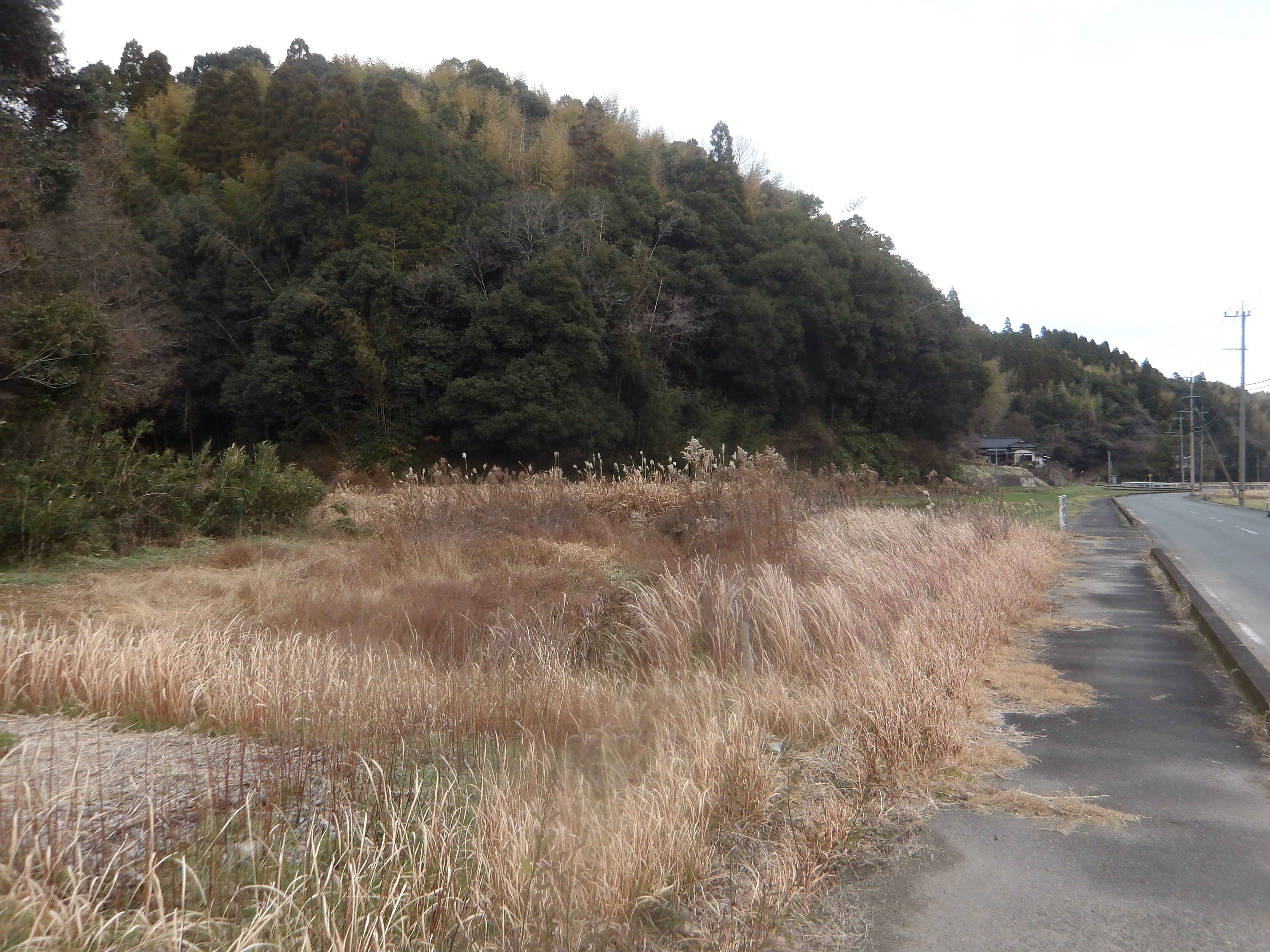 細永字里ノ平4626-1 (1).JPG